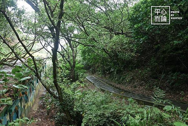 神祕海岸、燭臺雙嶼、獅頭山公園 (32)