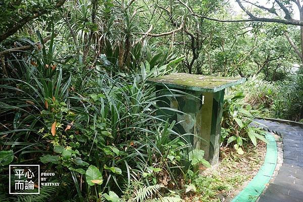 神祕海岸、燭臺雙嶼、獅頭山公園 (33)