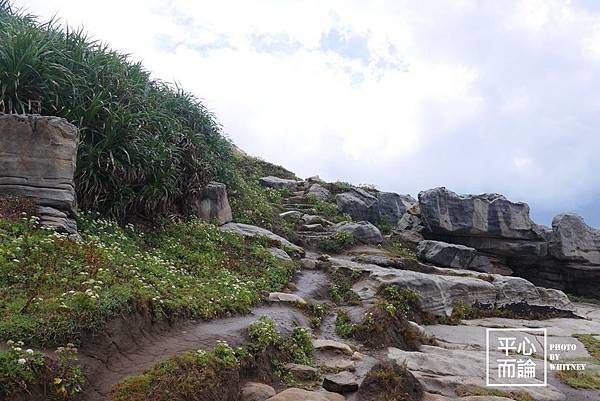 神祕海岸、燭臺雙嶼、獅頭山公園 (15)