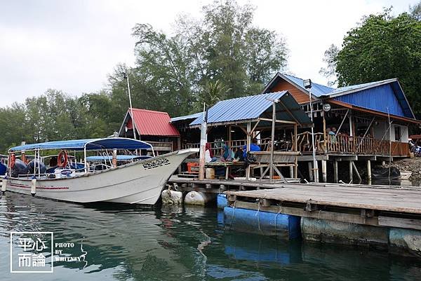 Mangrove River Safari Tour (5).JPG