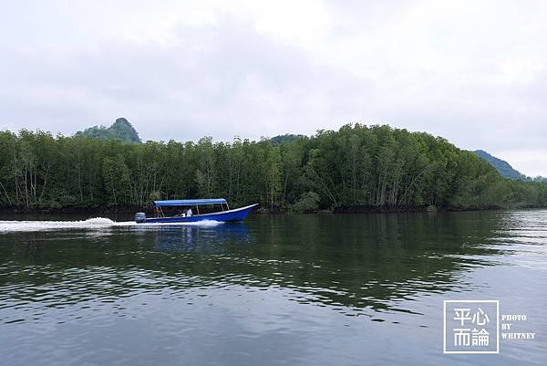 Mangrove River Safari Tour (6).JPG