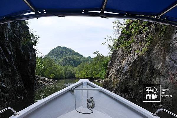 Mangrove River Safari Tour (14).JPG