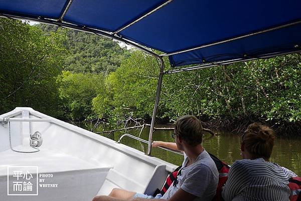 Mangrove River Safari Tour (15).JPG