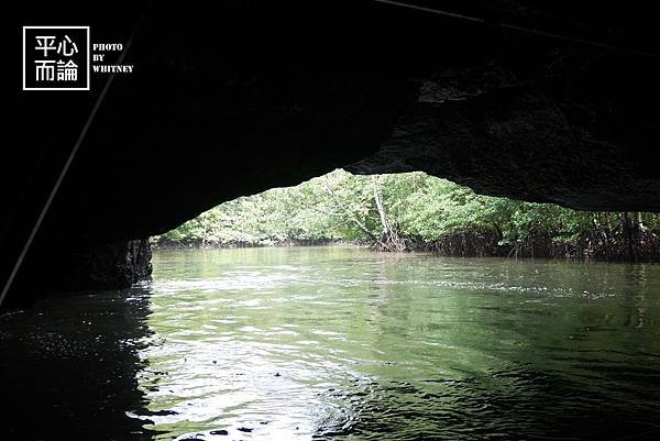 Mangrove River Safari Tour (17).JPG