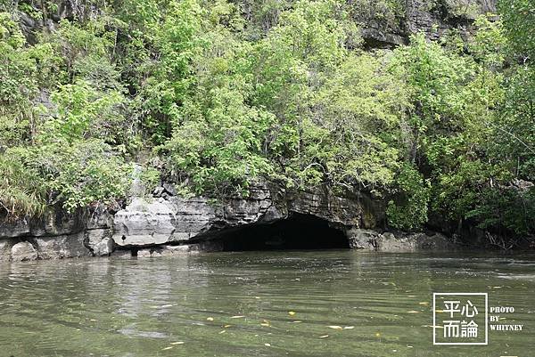 Mangrove River Safari Tour (18).JPG