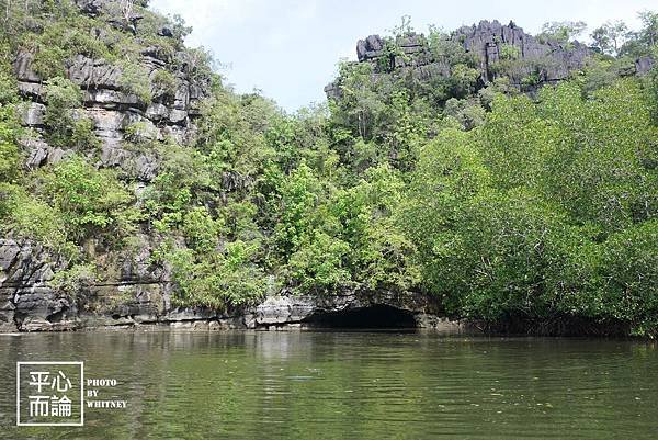 Mangrove River Safari Tour (19).JPG