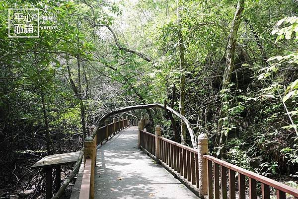 Mangrove River Safari Tour (31).JPG