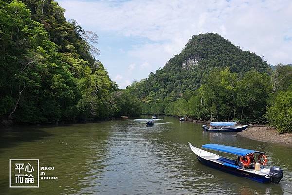 Mangrove River Safari Tour (32).JPG