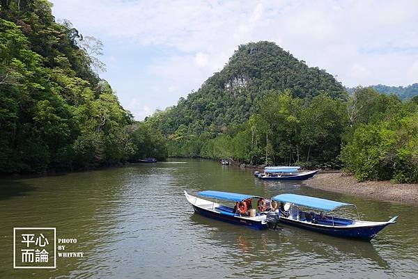 Mangrove River Safari Tour (33).JPG