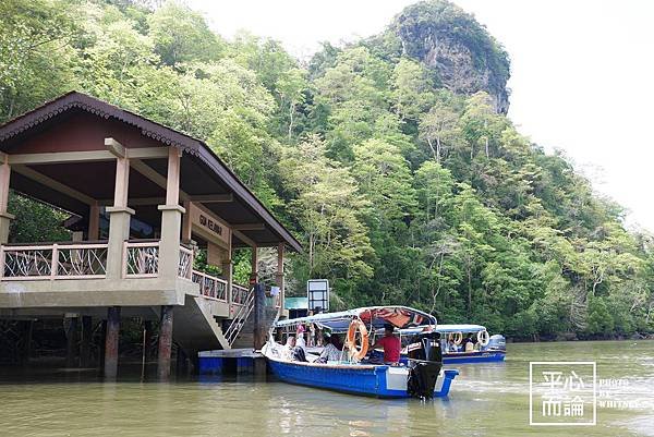 Mangrove River Safari Tour (34).JPG