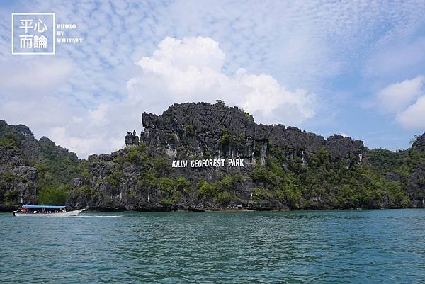 Mangrove River Safari Tour (35).JPG