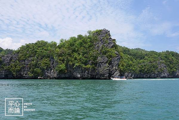 Mangrove River Safari Tour (37).JPG