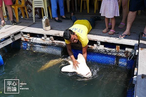 Mangrove River Safari Tour (43).JPG