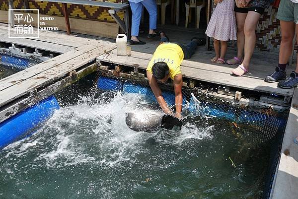 Mangrove River Safari Tour (44).JPG