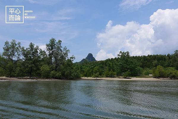 Mangrove River Safari Tour (48).JPG