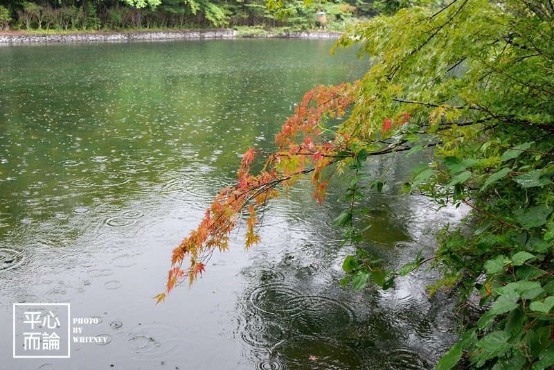 雲場池 (9).JPG