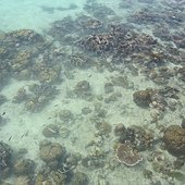 IMG_5283.JPG