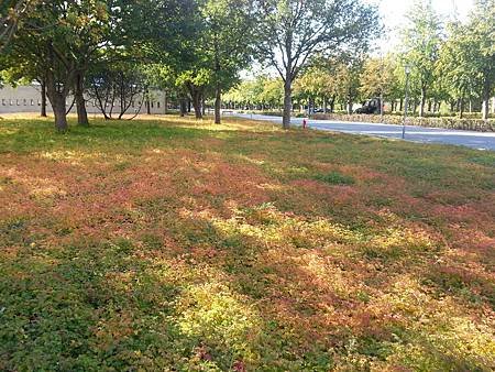 20131002_114941