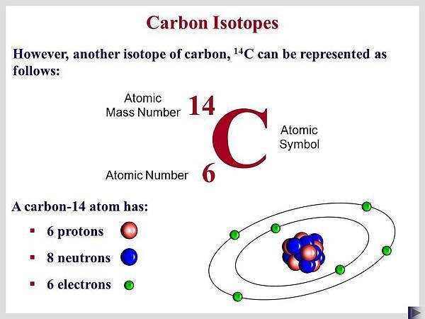 碳14.jpg