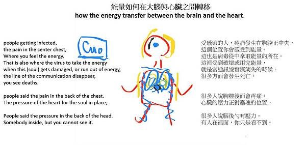 能量如何在大腦與心臟流動.jpg