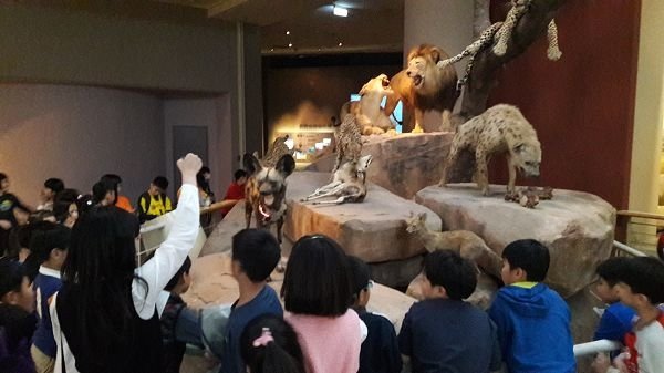 20170301_143556.jpg