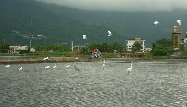 照片123 155.jpg
