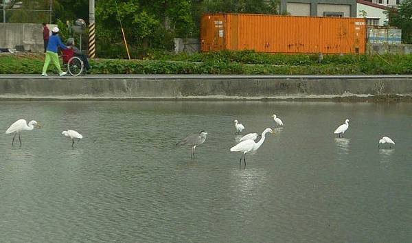 照片123 170.jpg
