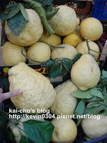 DSC00255-2