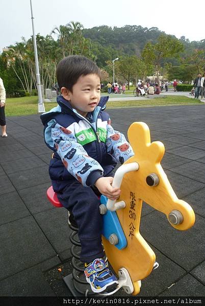 P1150006.JPG