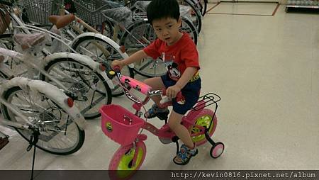 IMAG0919.jpg