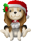14.gif