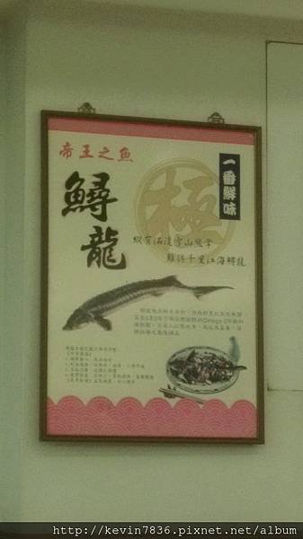 IMAG8380.jpg