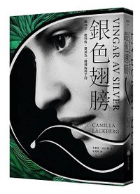 《銀色翅膀》