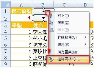 excel2-5.jpg
