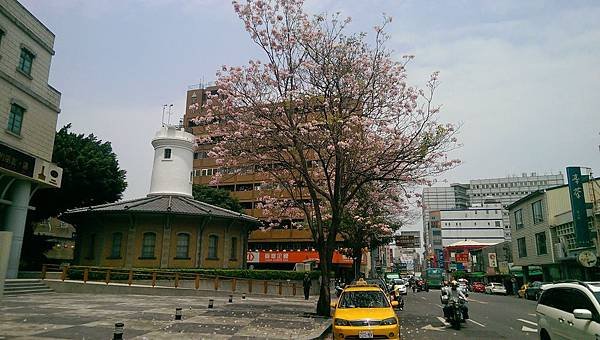 IMAG1175.jpg
