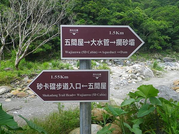 IMGP4868.JPG