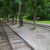 IMGP4960.JPG