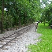 IMGP4963.JPG