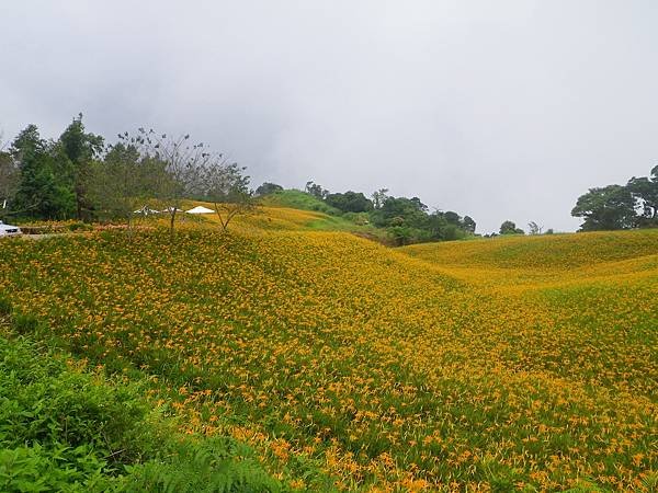 IMGP5049.JPG
