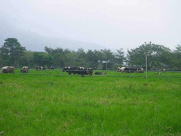 IMGP5078.JPG