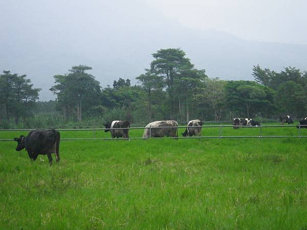 IMGP5080.JPG
