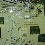IMGP5181.JPG
