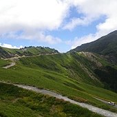 IMGP5350.JPG