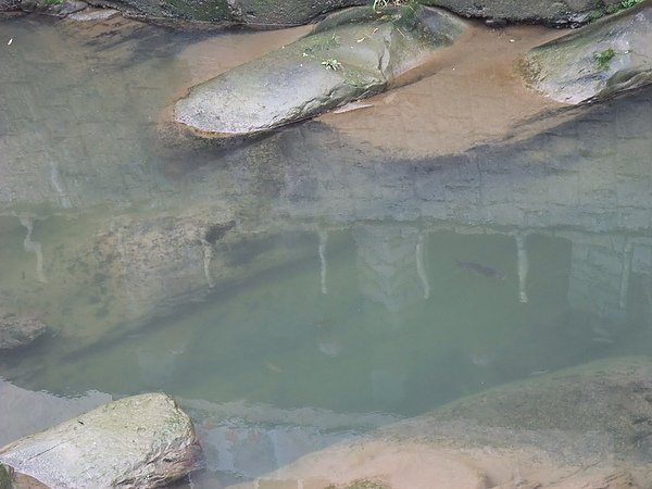 石碇溪