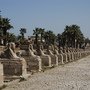 Luxor神殿 (12).JPG