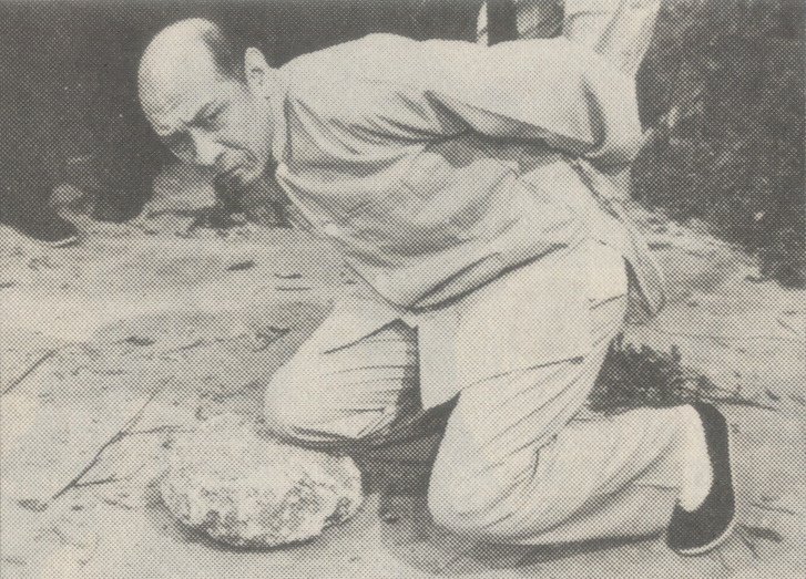 這一家81009.jpg