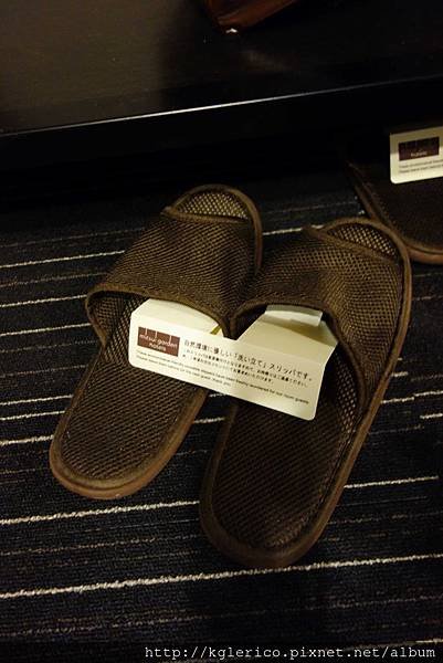 201312250202.JPG