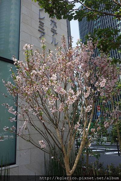 2014041418-10261.JPG
