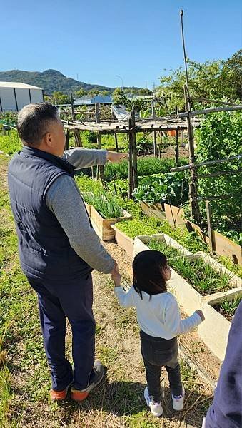 投票日之田野小網美