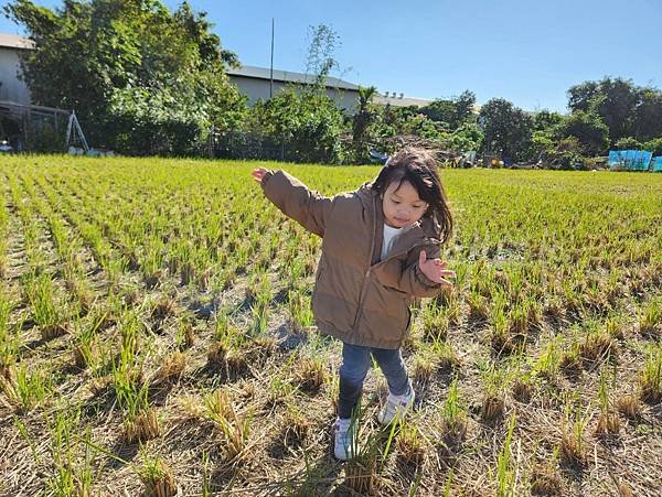 投票日之田野小網美